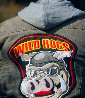 Review After 6 Months